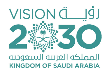 vision2030